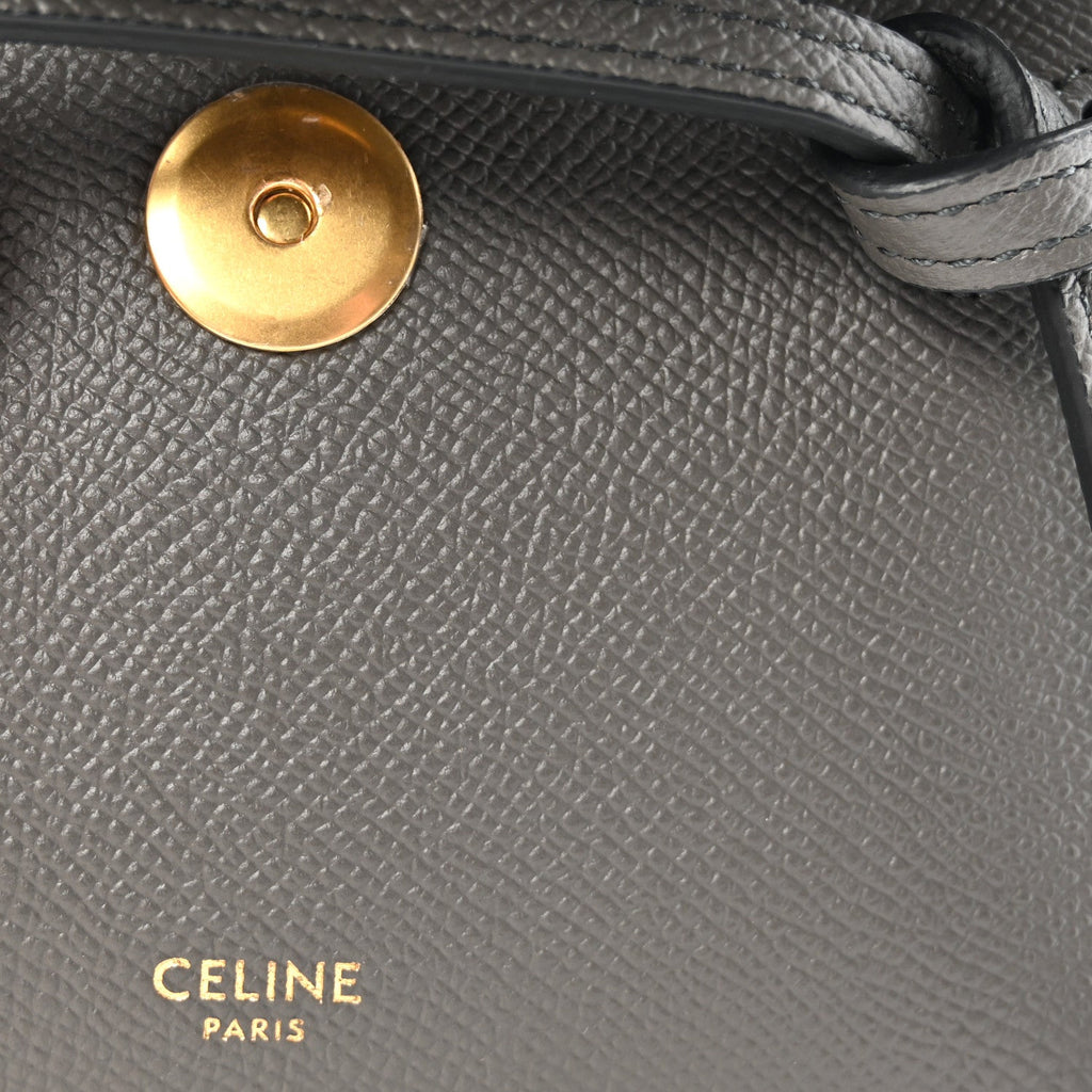 Grained Calfskin Pico Belt Bag Grey