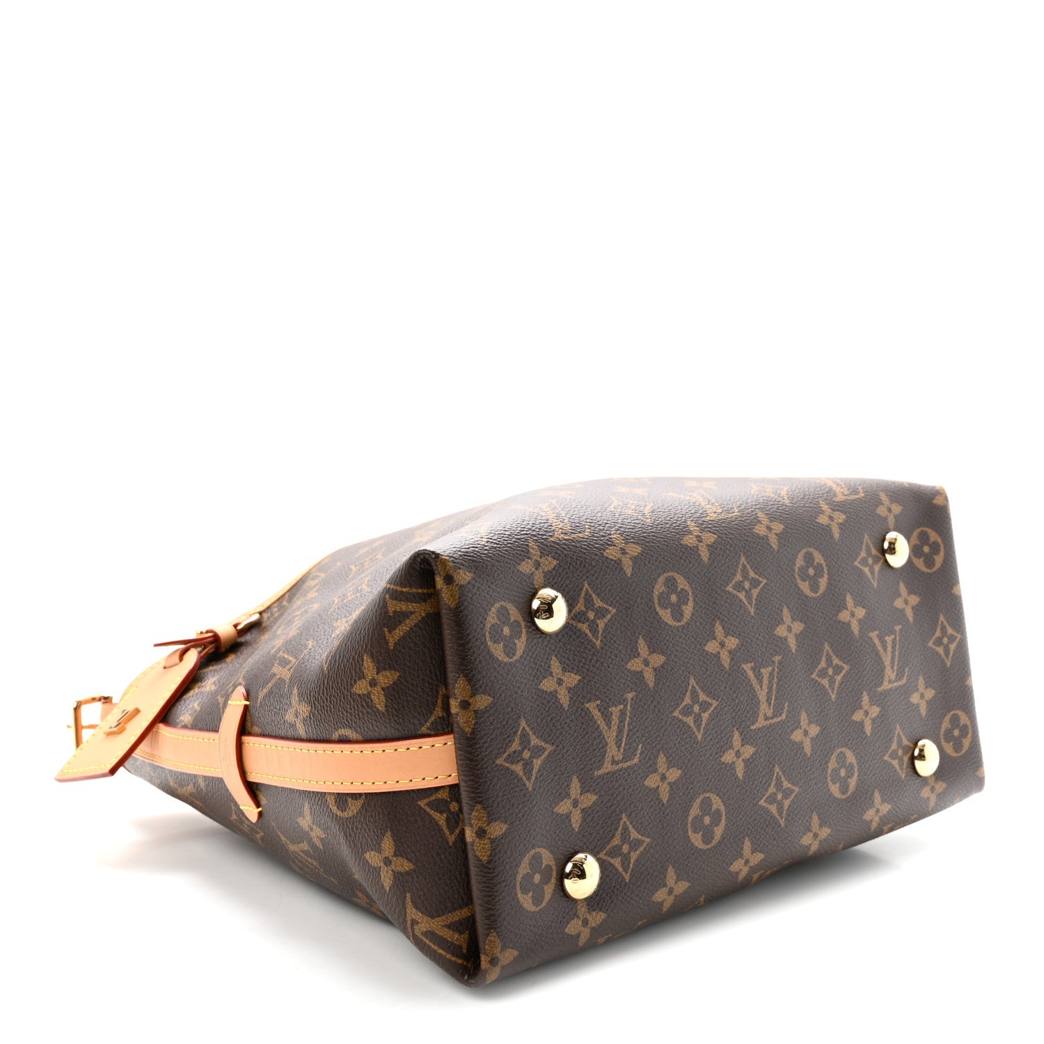 Monogram CarryAll PM
