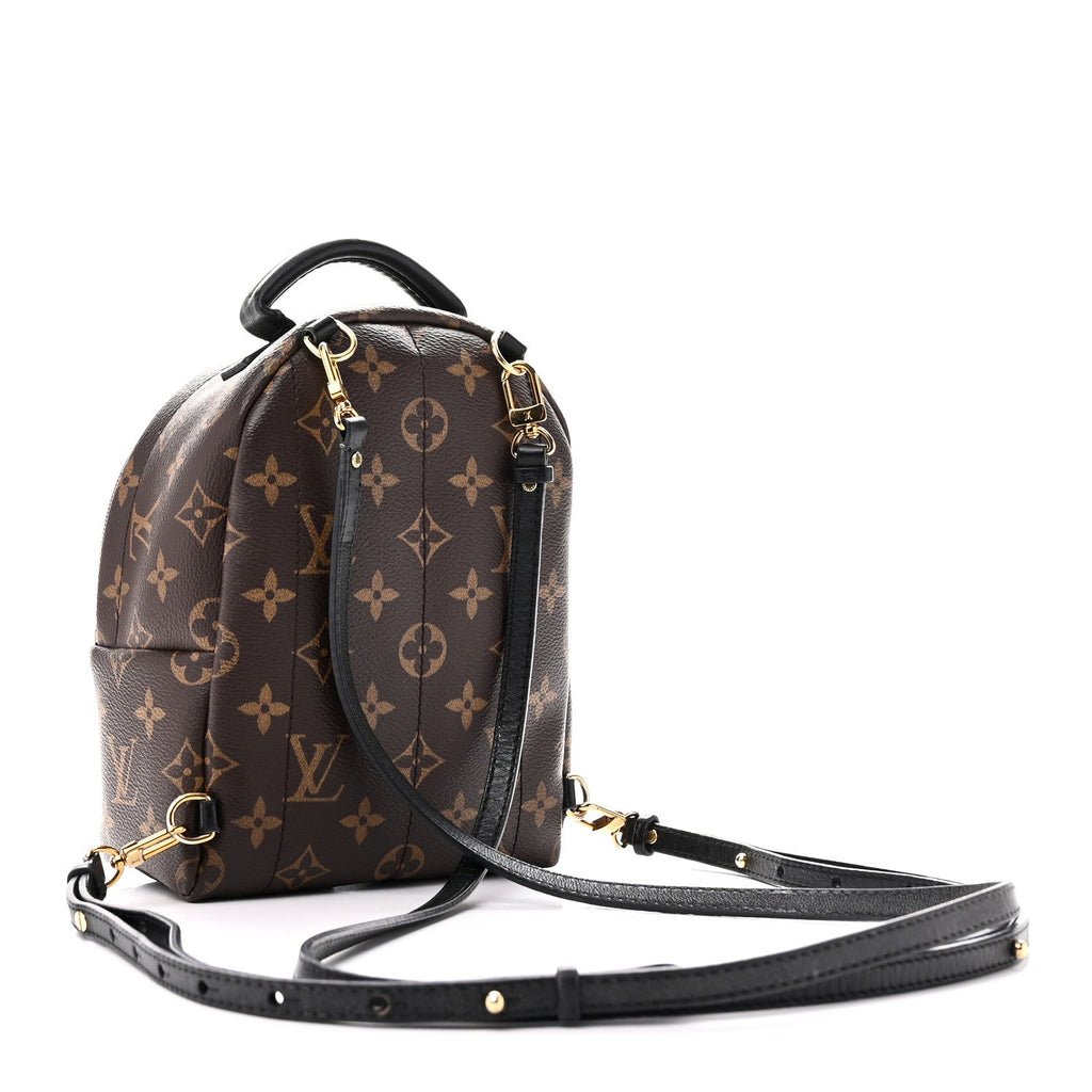 Monogram Palm Springs Backpack Mini
