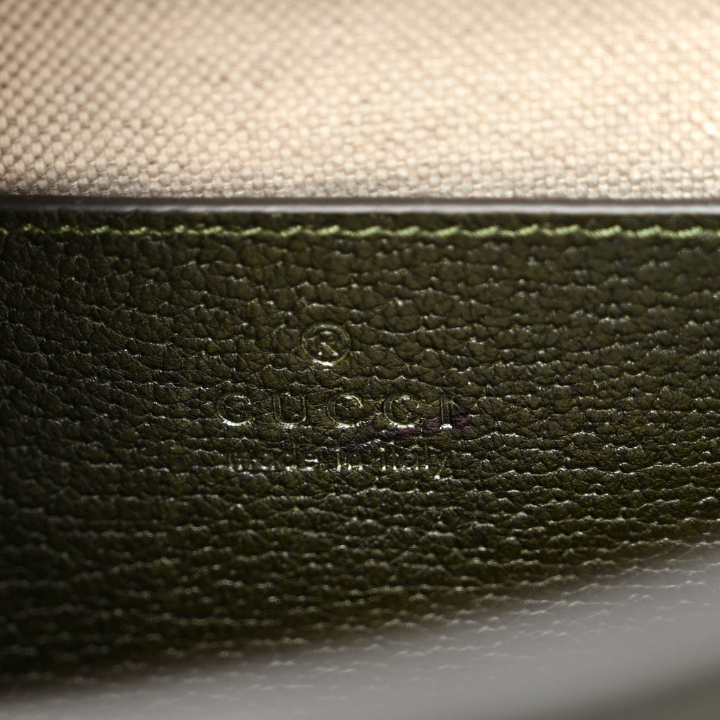Textured Dollar Calfskin Web Small Diana Tote Bag Green Ombre