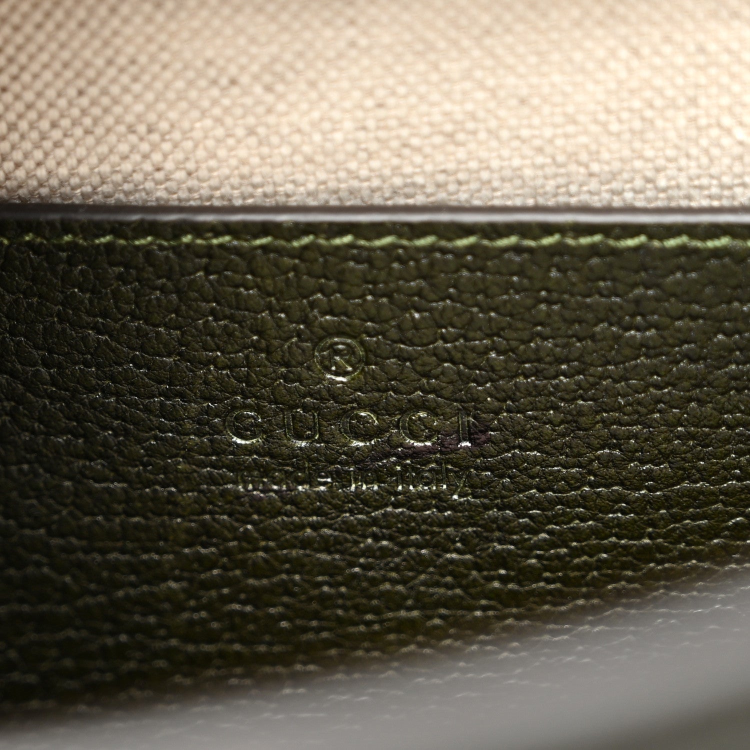 Textured Dollar Calfskin Web Small Diana Tote Bag Green Ombre