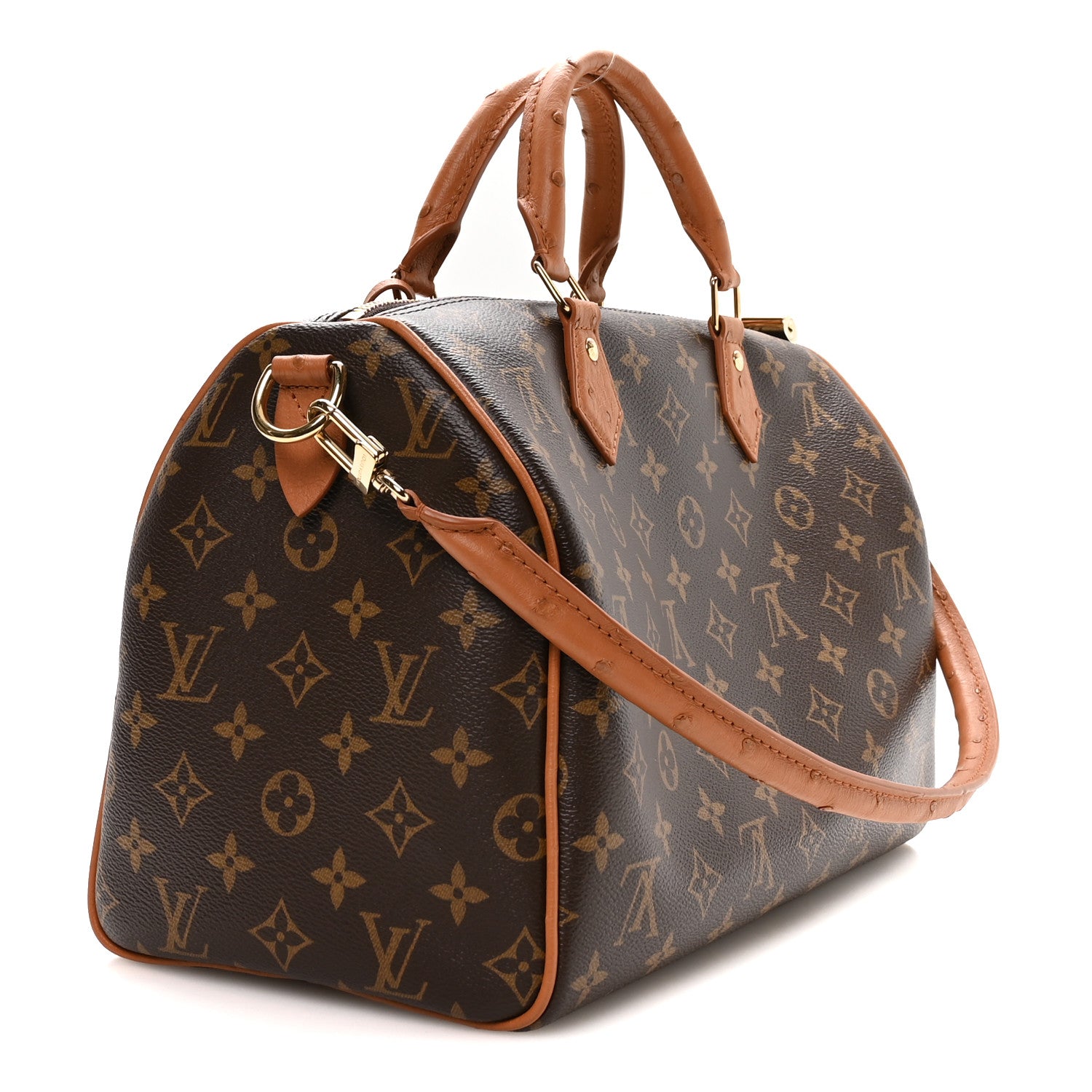 Monogram Speedy Soft 30 Boho