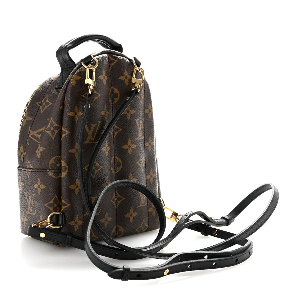 Monogram Palm Springs Backpack Mini