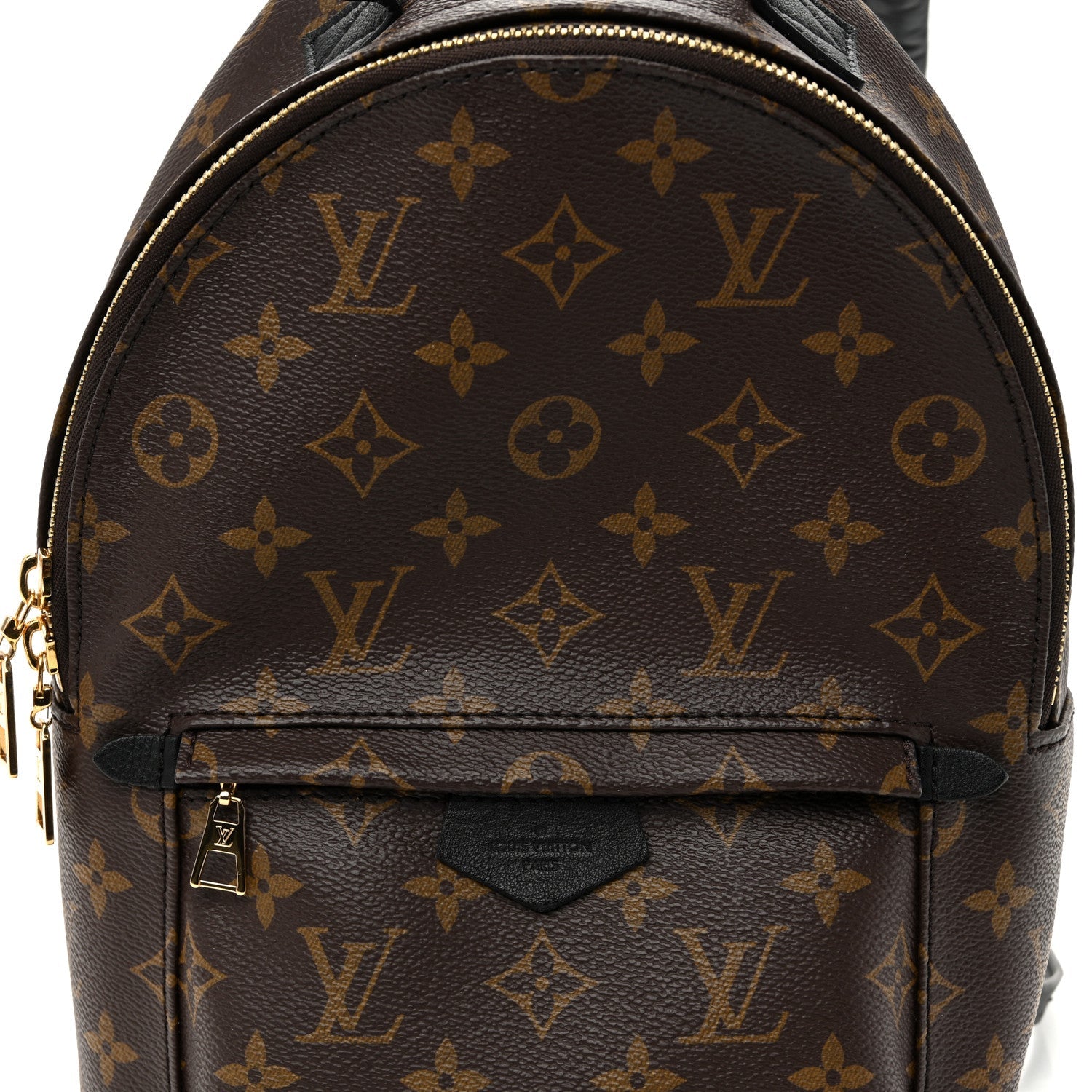 Monogram Palm Springs Backpack PM
