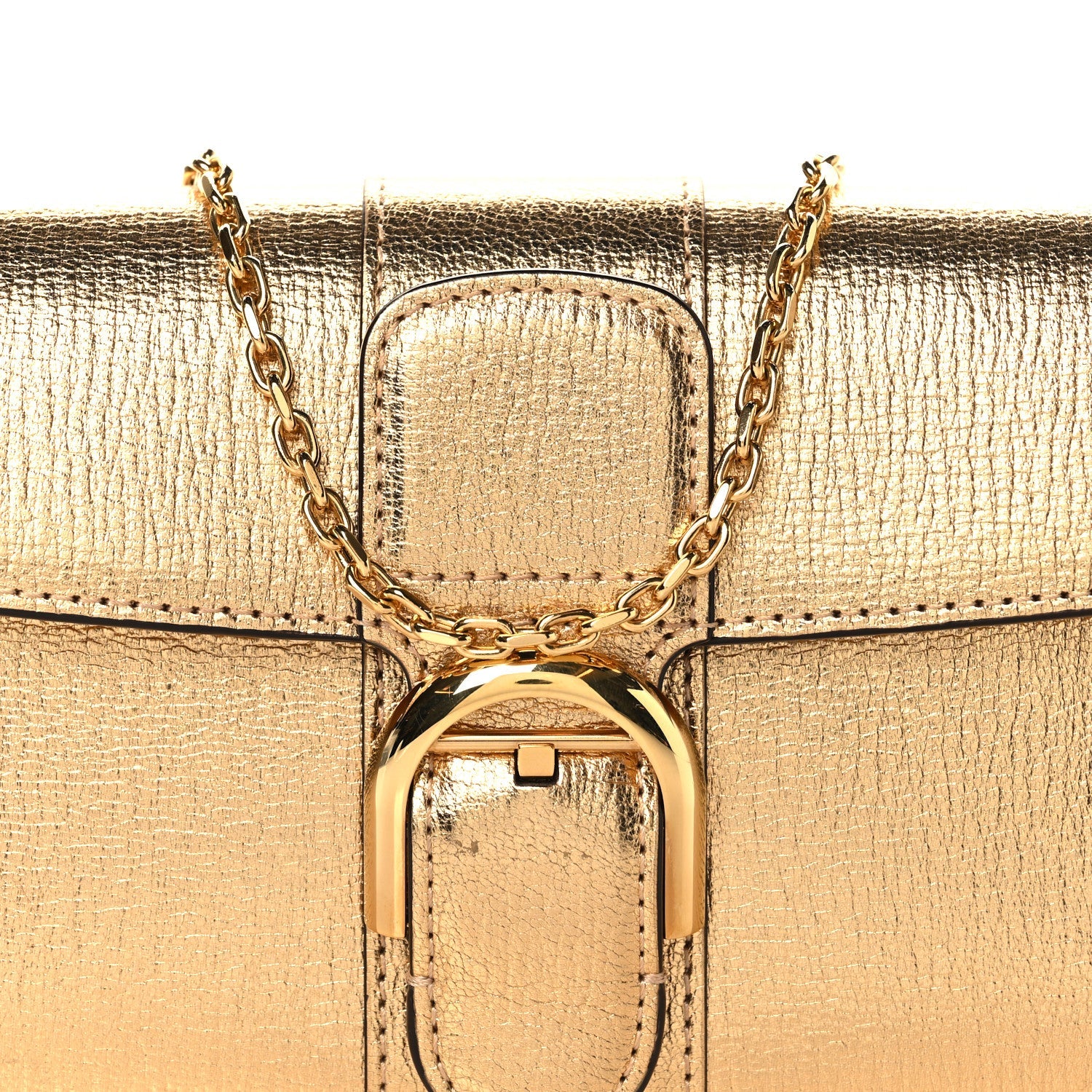 Metallic Rodeo Calfskin Brillant Wallet On Chain Satin Gold
