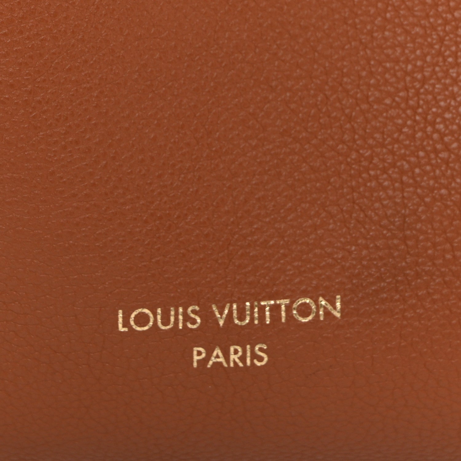 Grained Calfskin Low Key Hobo PM Cognac