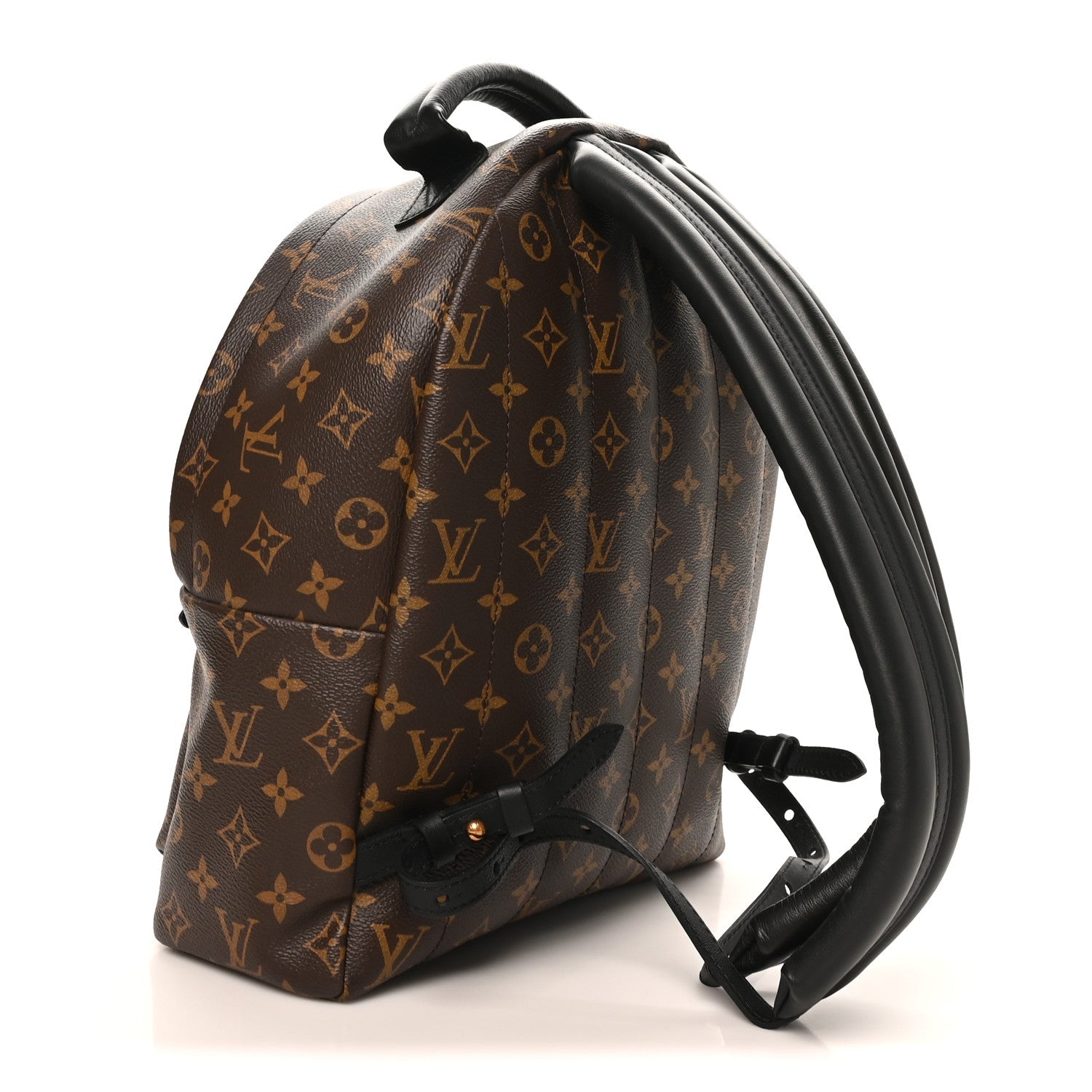 Monogram Palm Springs Backpack MM