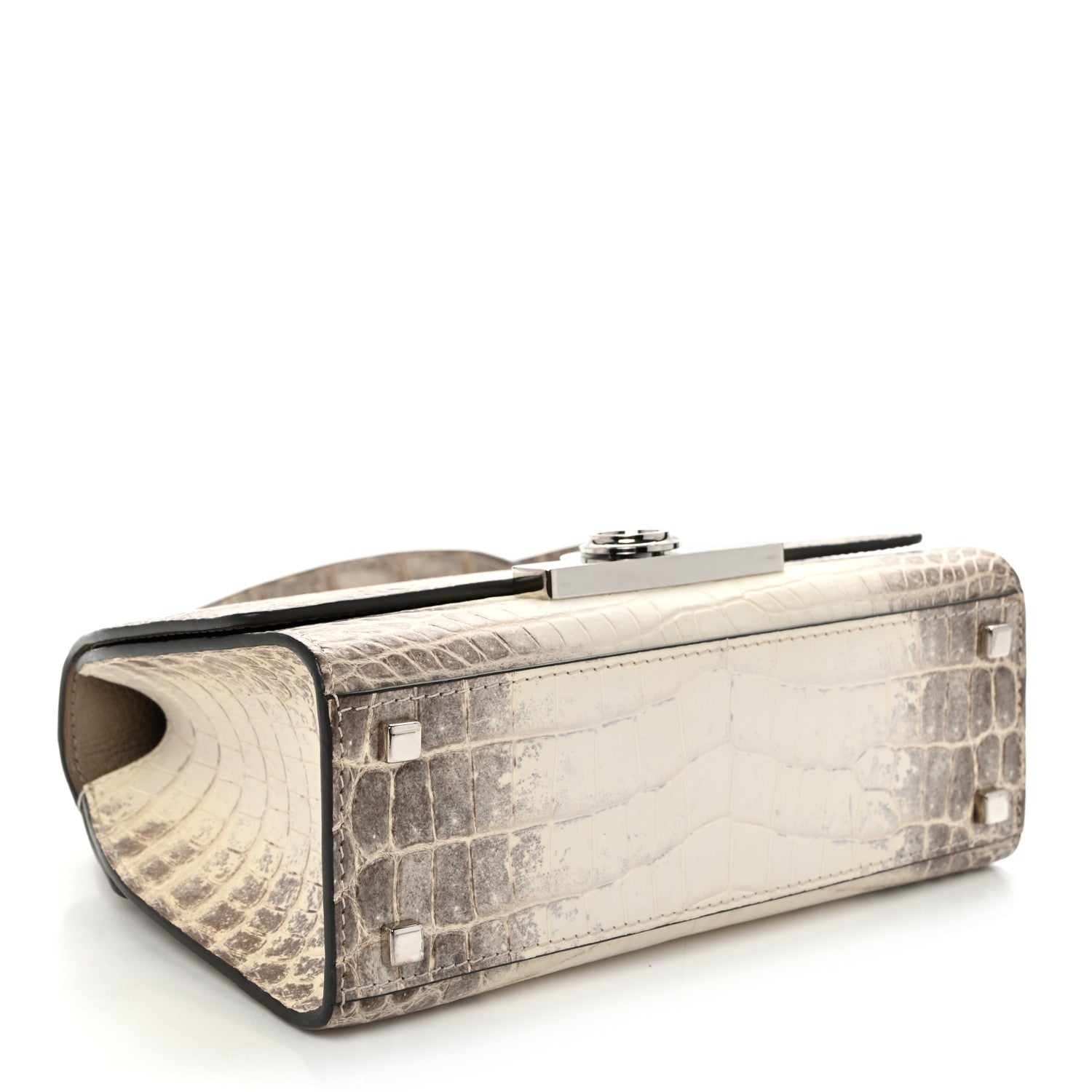 Niloticus Crocodile Himalaya Rejane BB White