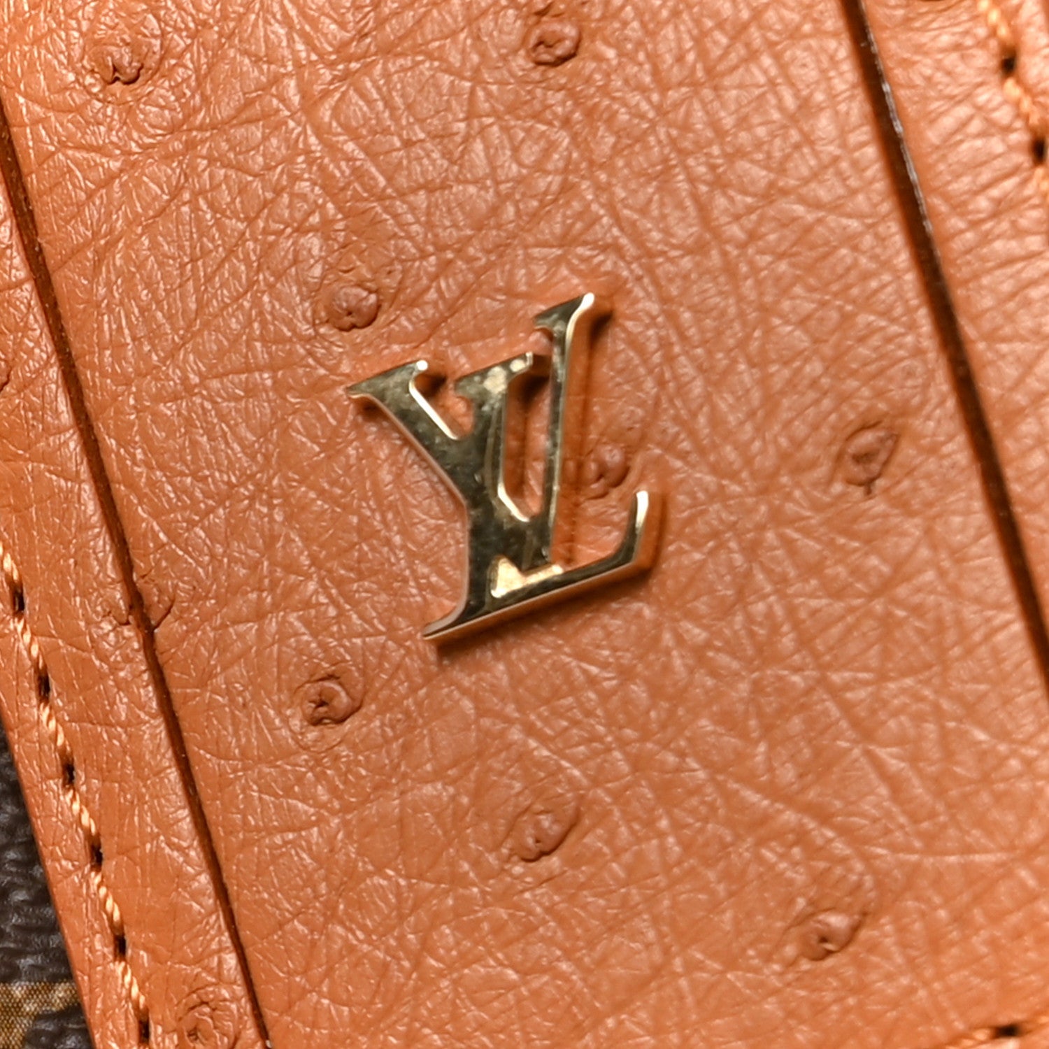 Monogram Speedy Soft 30 Boho