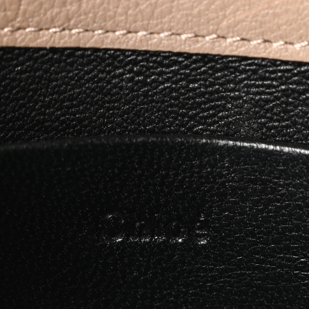 Calfskin Small Nile Bracelet Minaudiere Bag Motty Grey