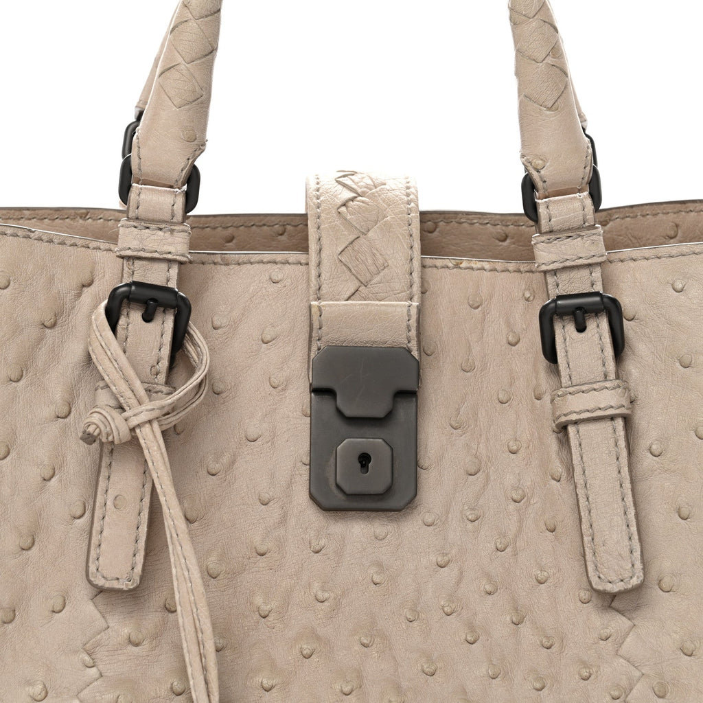 Ostrich Small Roma Tote Limestone