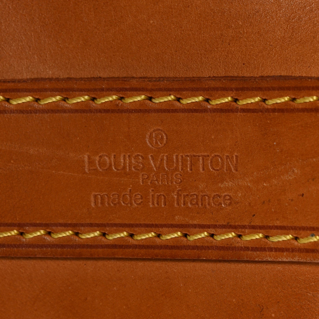 Monogram Randonnee GM Backpack