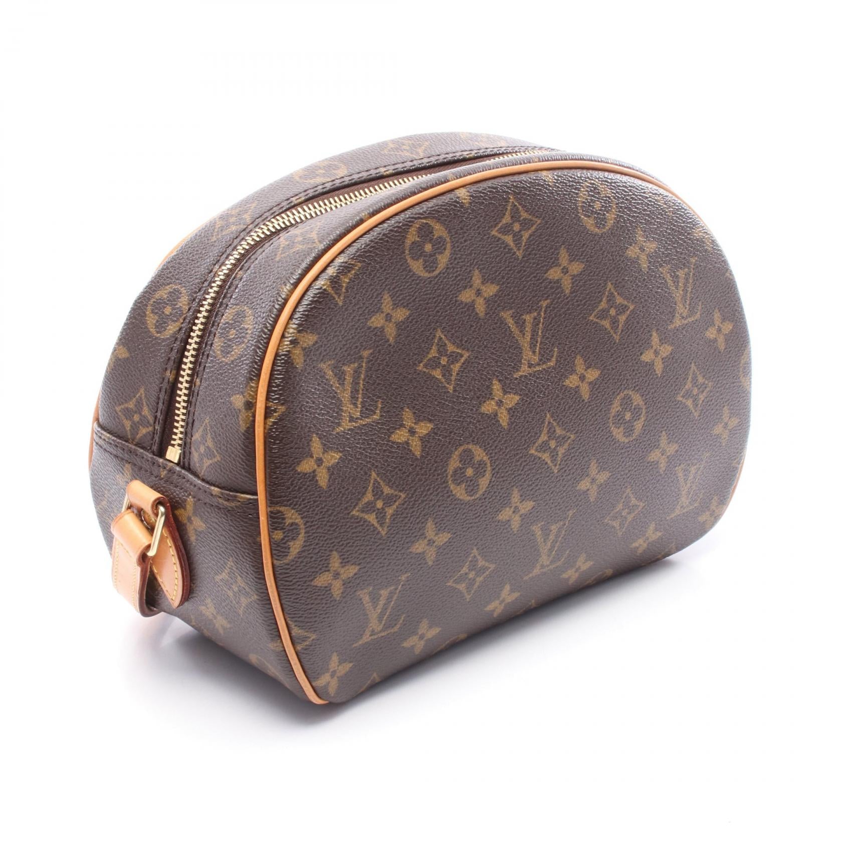 Louis Vuitton Blois Monogram Shoulder Bag