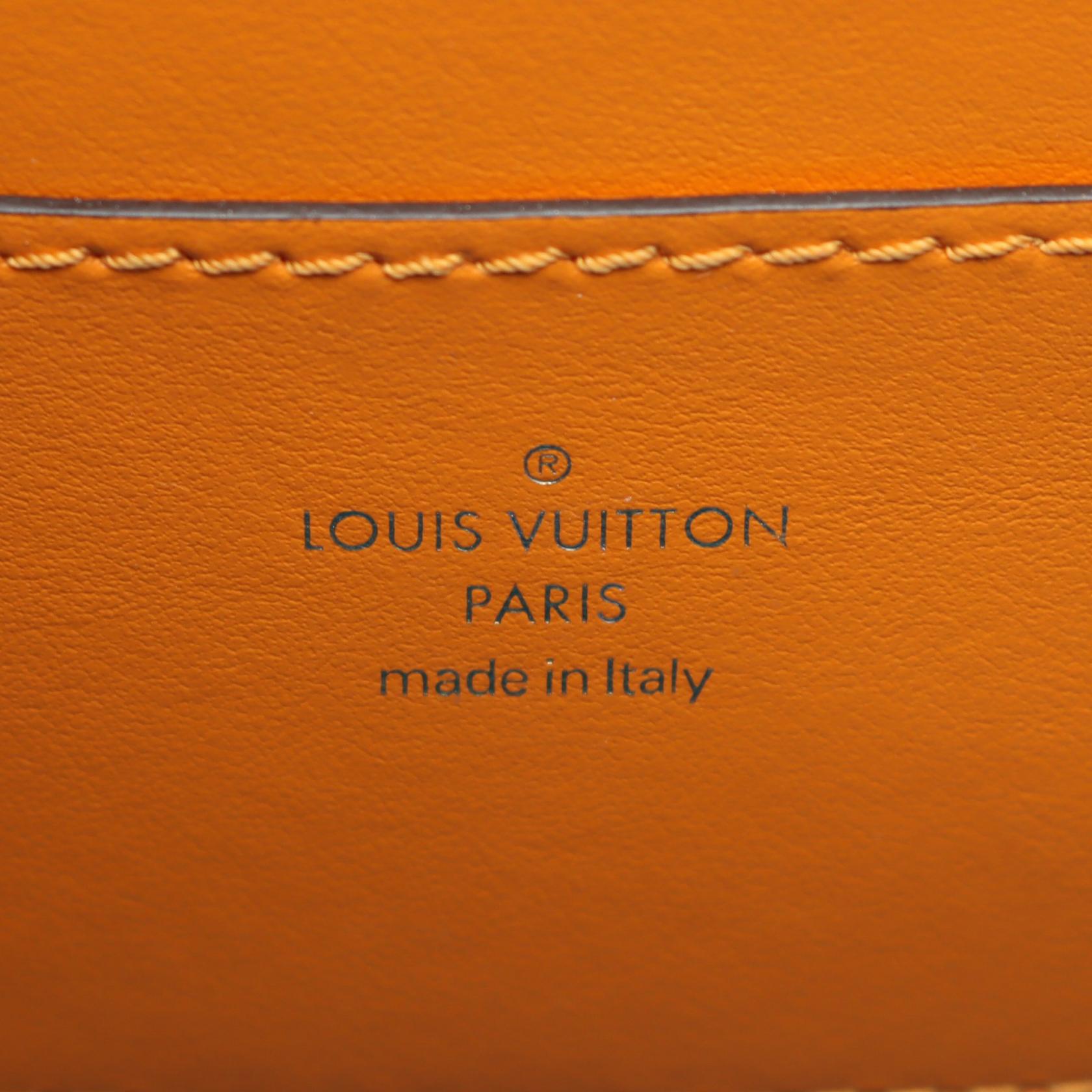 Louis Vuitton LV PONT 9 Leather Shoulder Bag