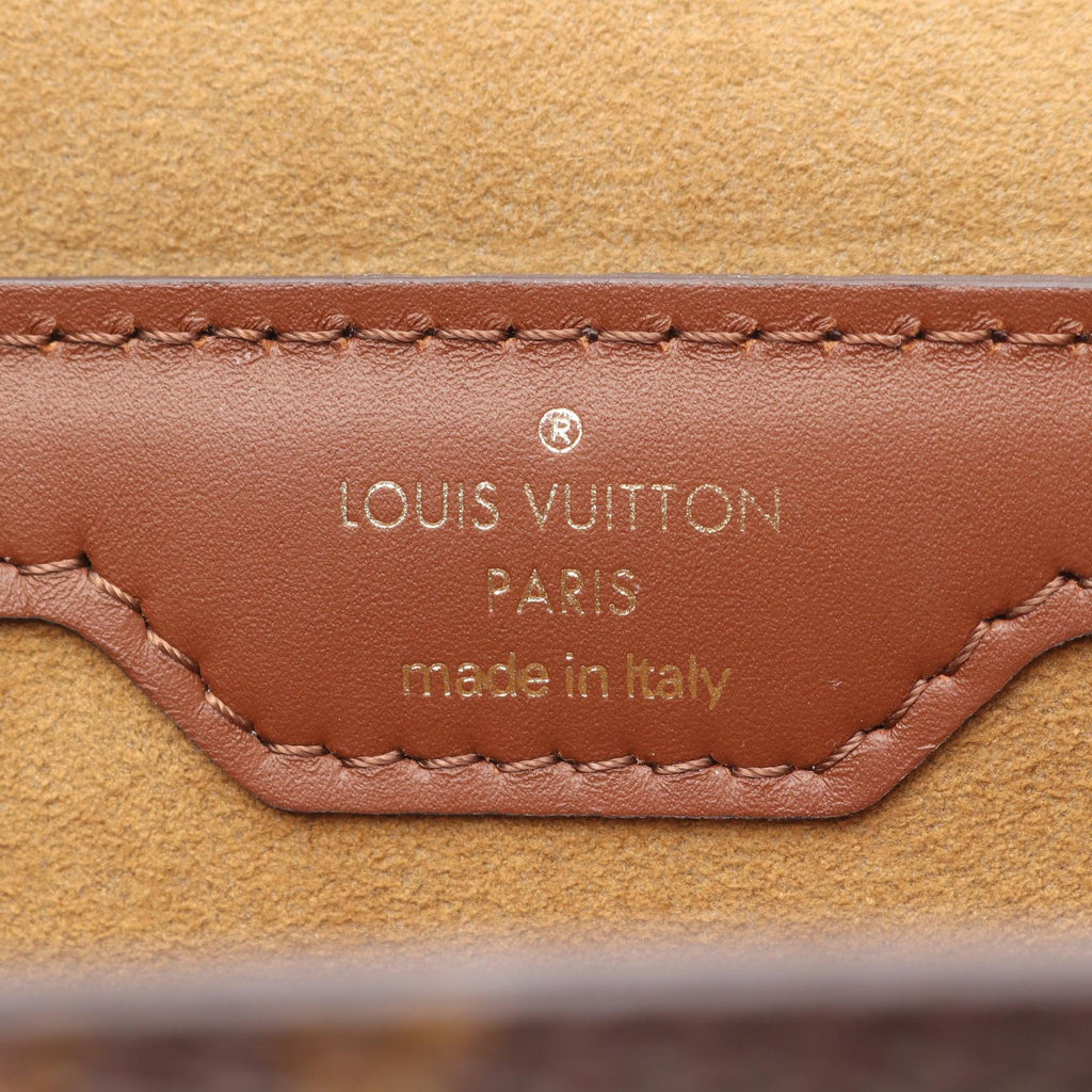 Louis Vuitton Papillon Trunk Monogram Shoulder Bag
