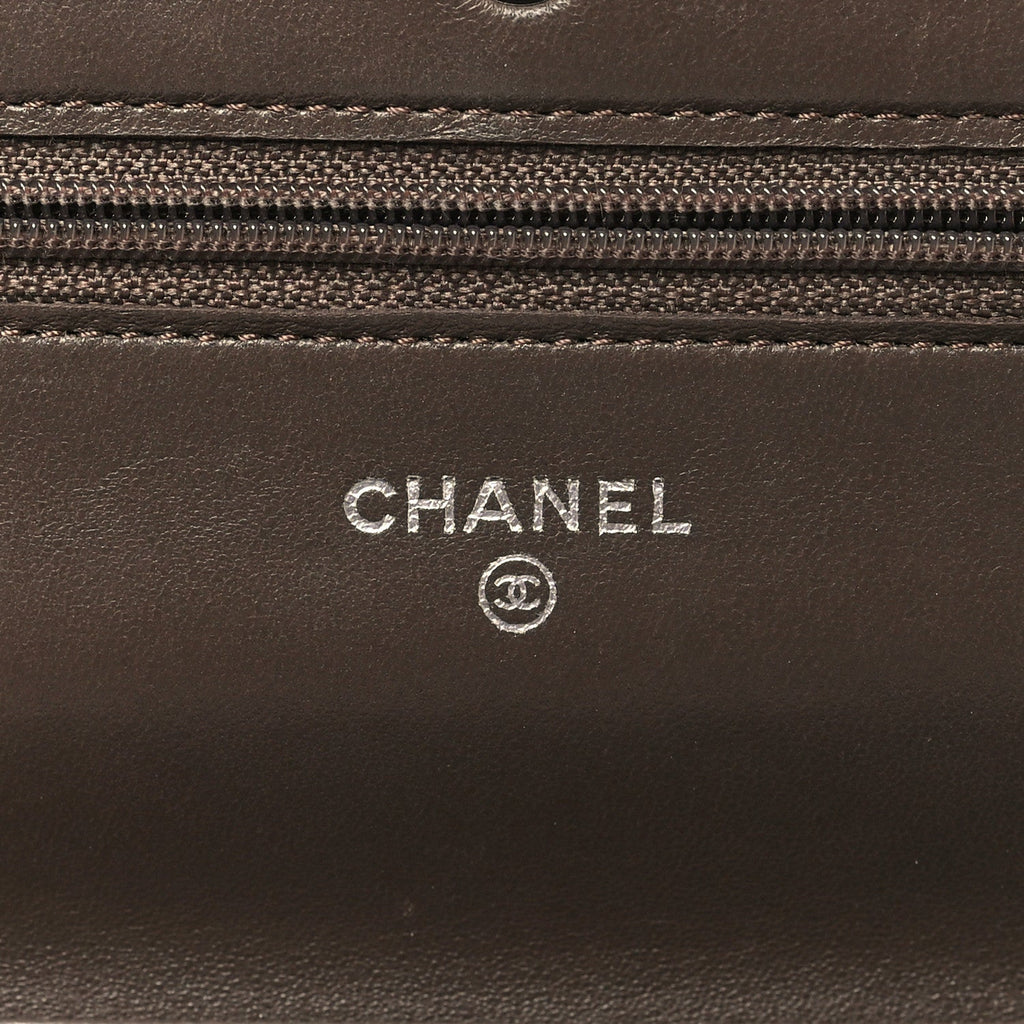 Snakeskin Wallet On Chain WOC Brown Silver