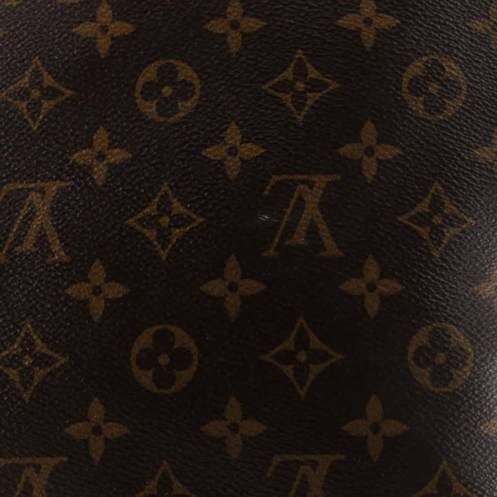 Louis Vuitton Carry It Tote Monogram Canvas