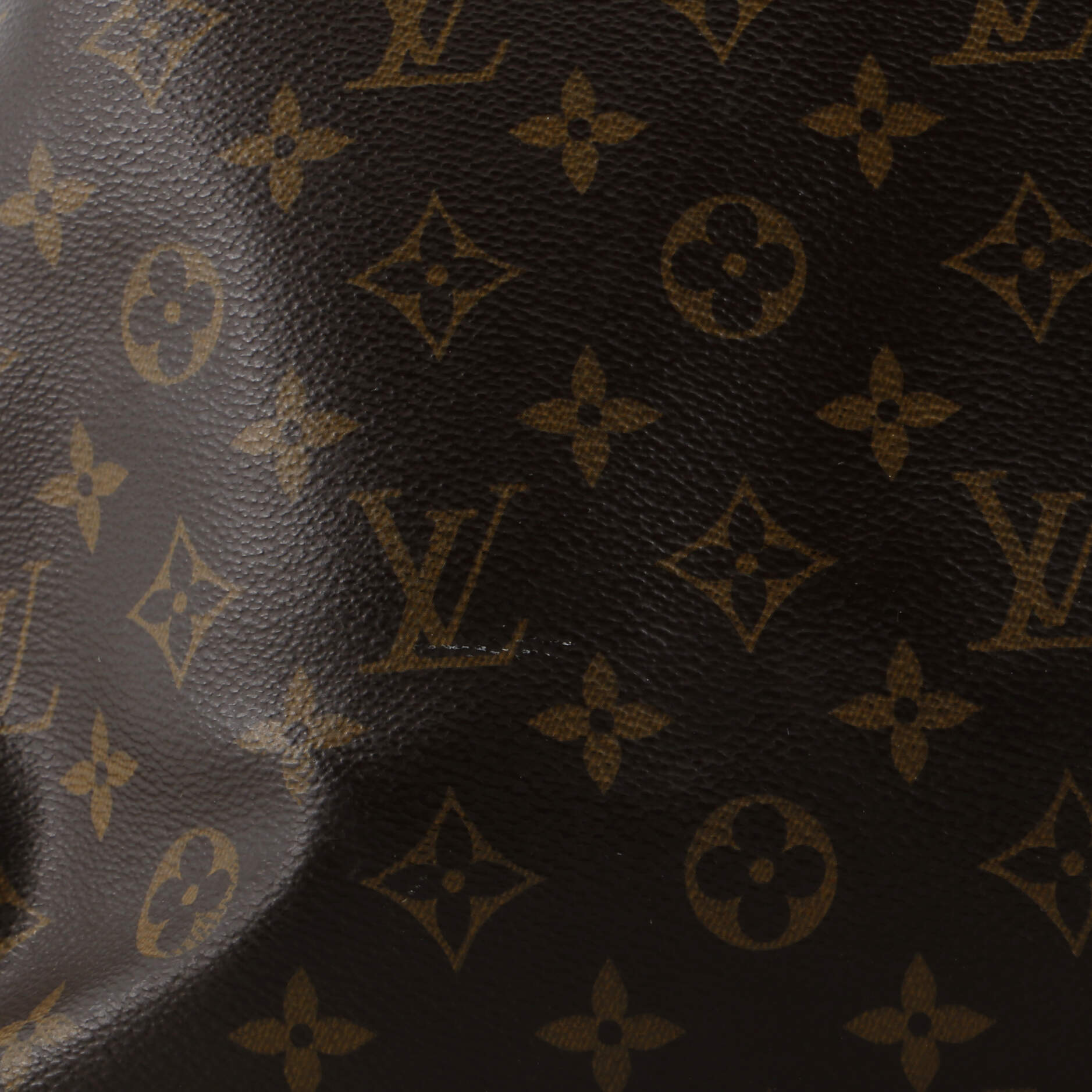 Louis Vuitton Carry It Tote Monogram Canvas