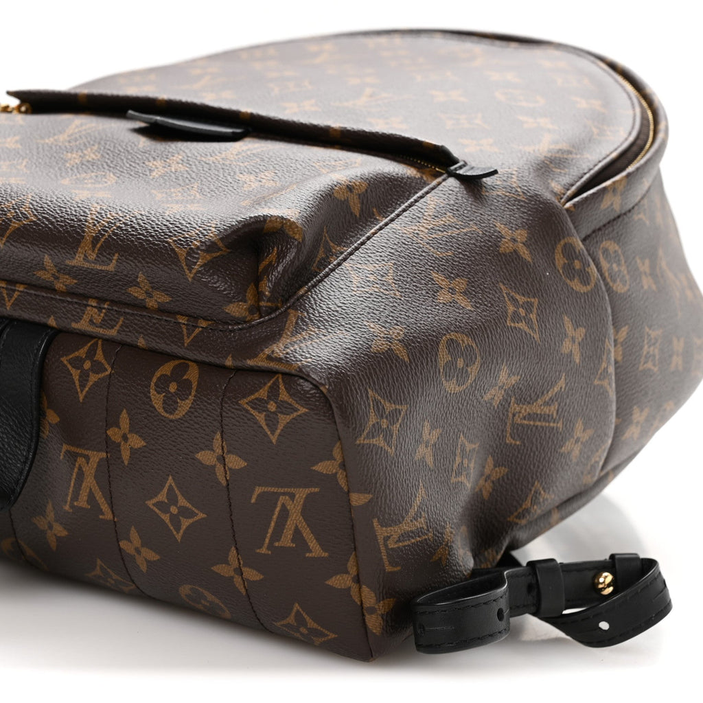 Monogram Palm Springs Backpack MM
