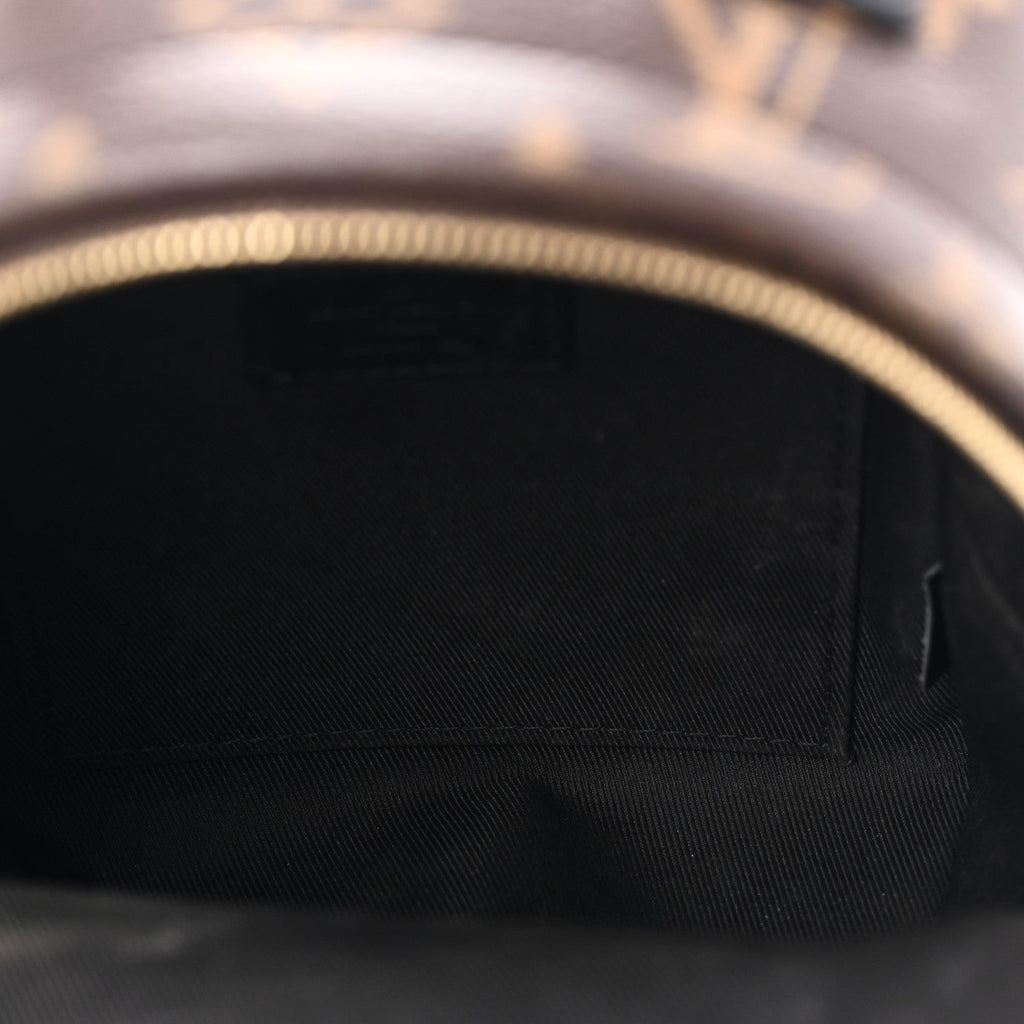 Monogram Palm Springs Backpack Mini