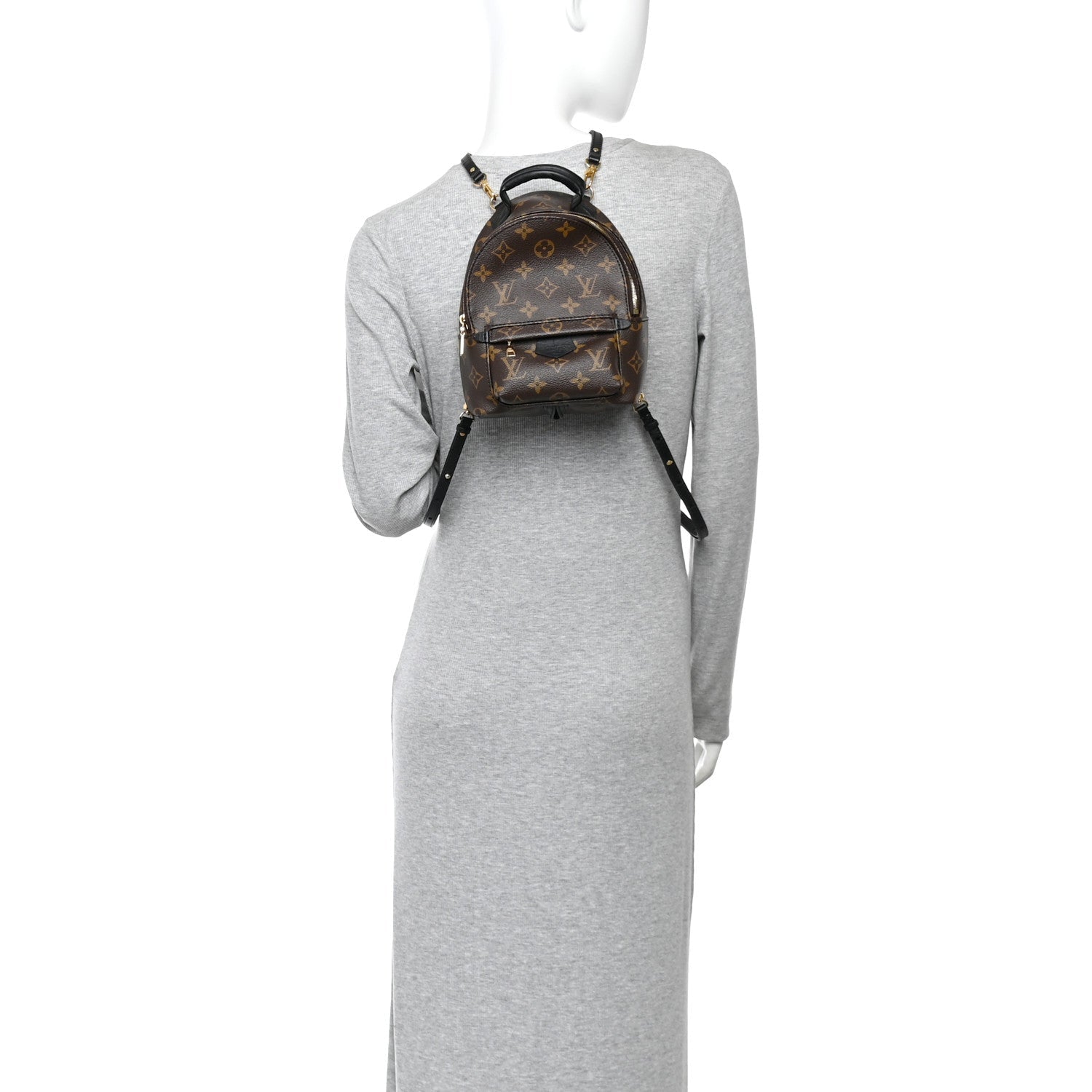 Monogram Palm Springs Backpack Mini