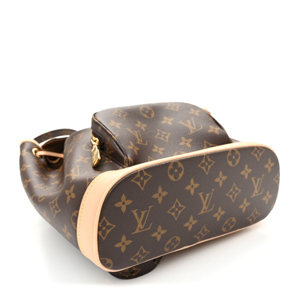 Monogram Montsouris PM Backpack
