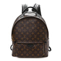 Monogram Palm Springs Backpack MM