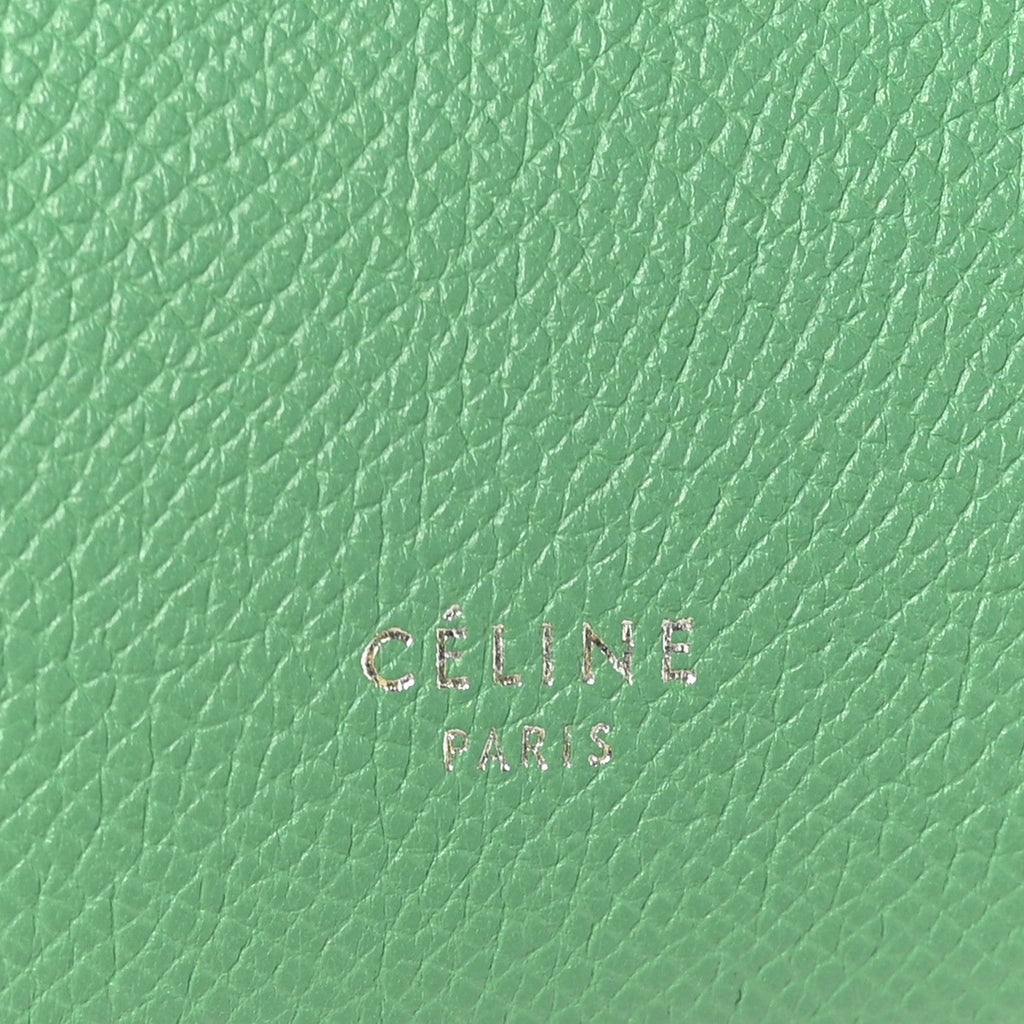 Grained Calfskin Micro Belt Bag Pop Green