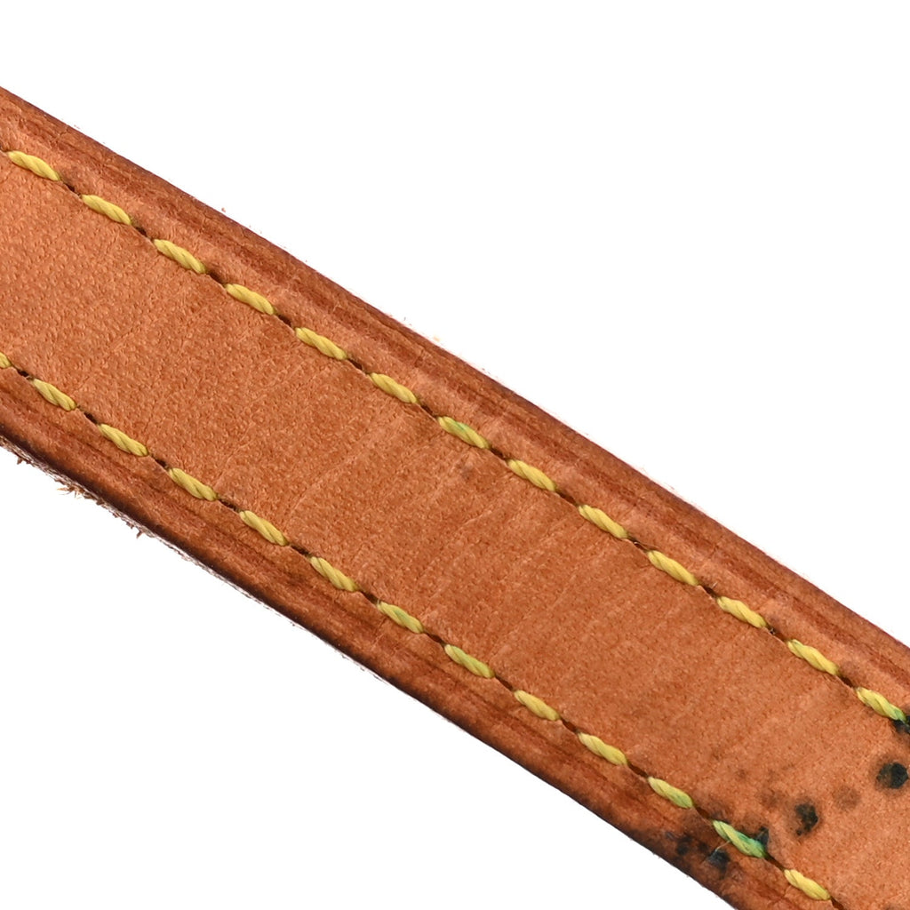 Monogram Papillon 30 with Companion