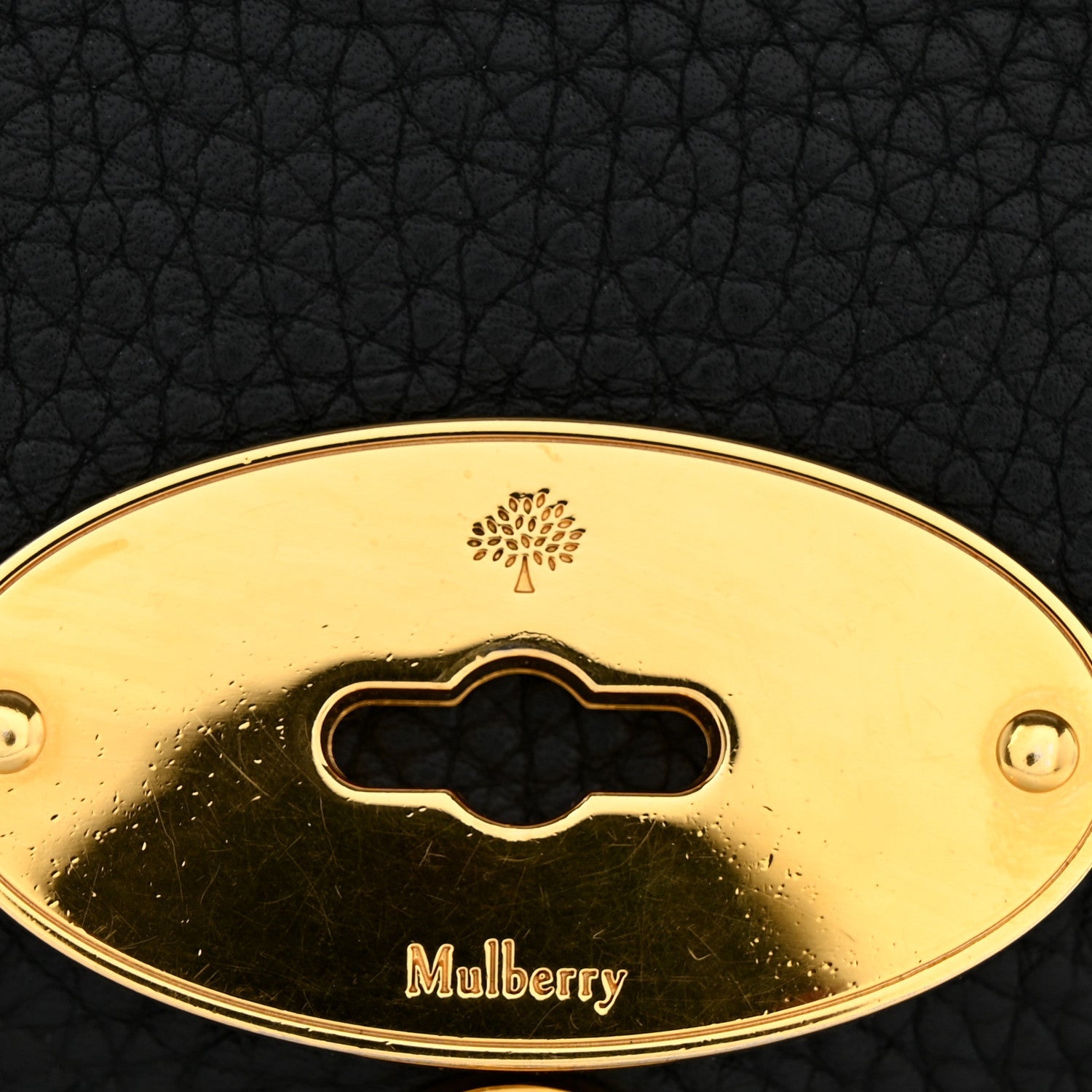 Heavy Grained Calfskin Darley Satchel Black