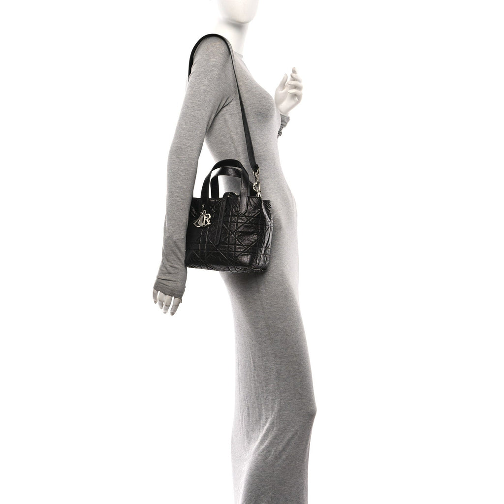 Crinkled Calfskin Macrocannage Small Toujours Vertical Tote Black