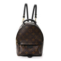 Monogram Palm Springs Backpack Mini