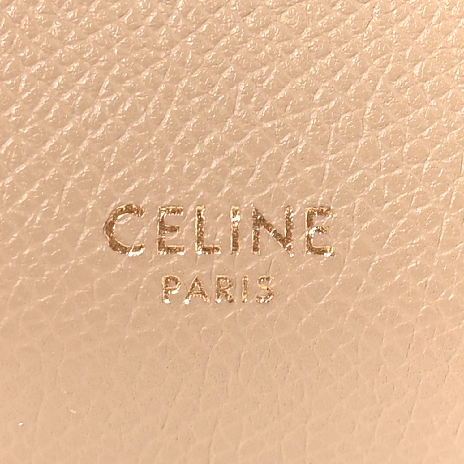 Grained Calfskin Nano Belt Bag Light Taupe