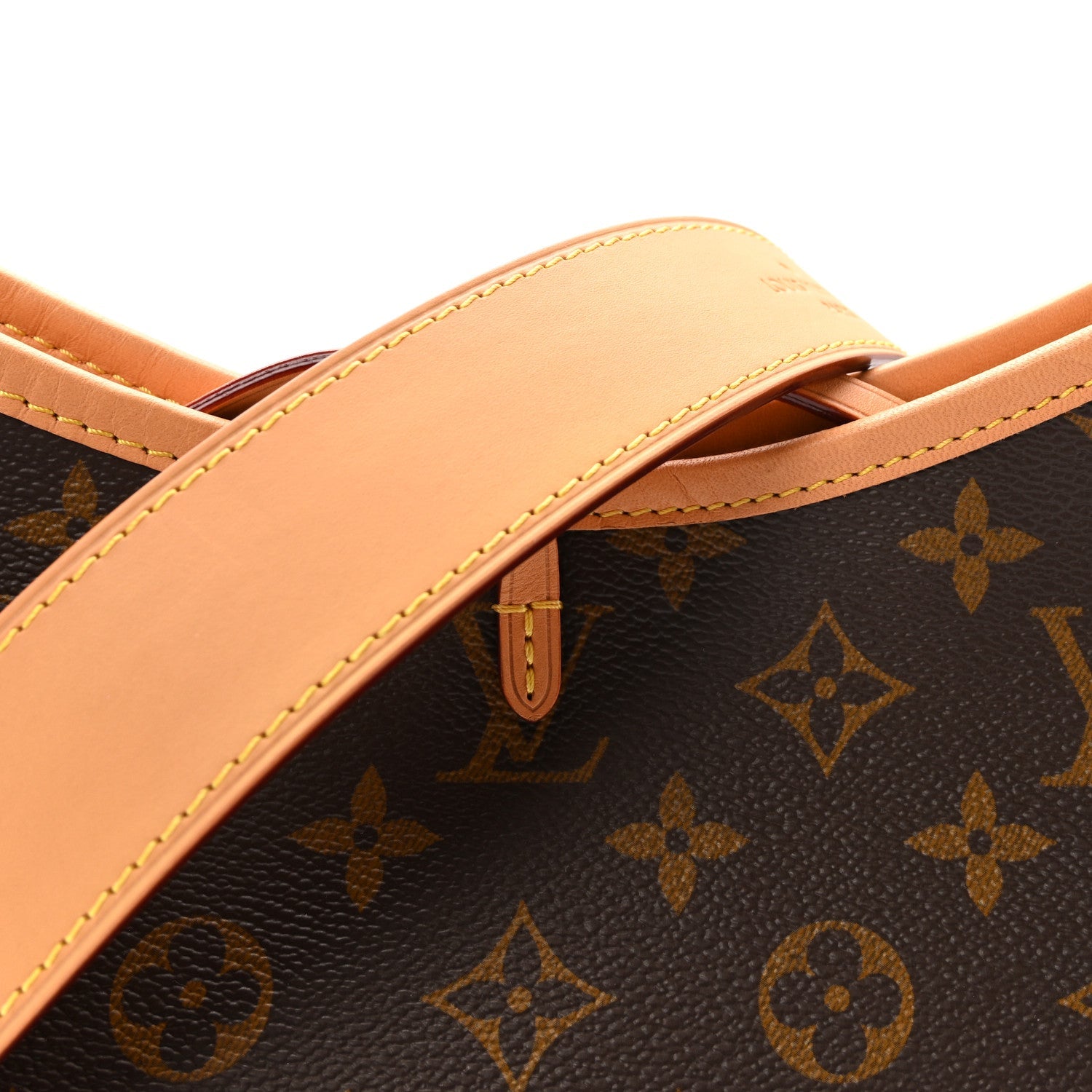 Monogram Carryall PM