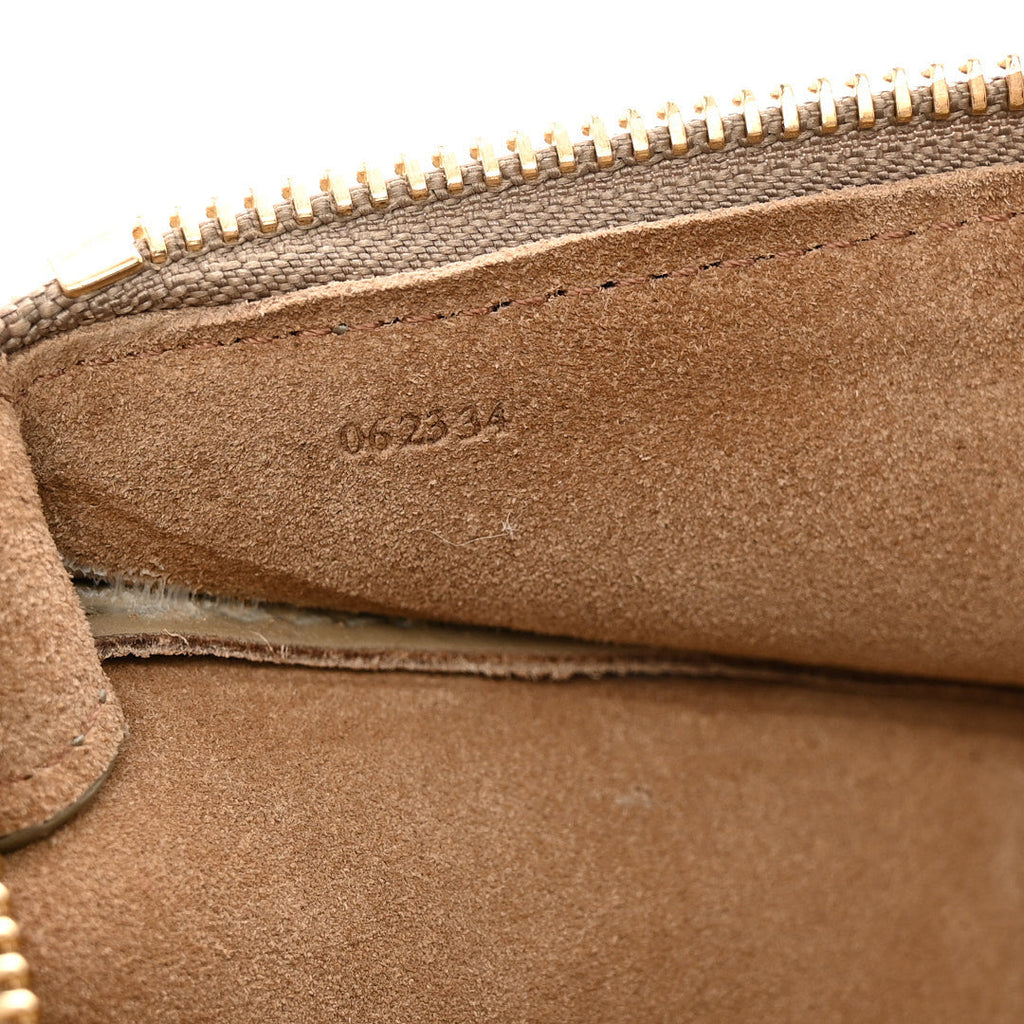Shiny Nappa Calfskin Small Paseo Bag Clay Green