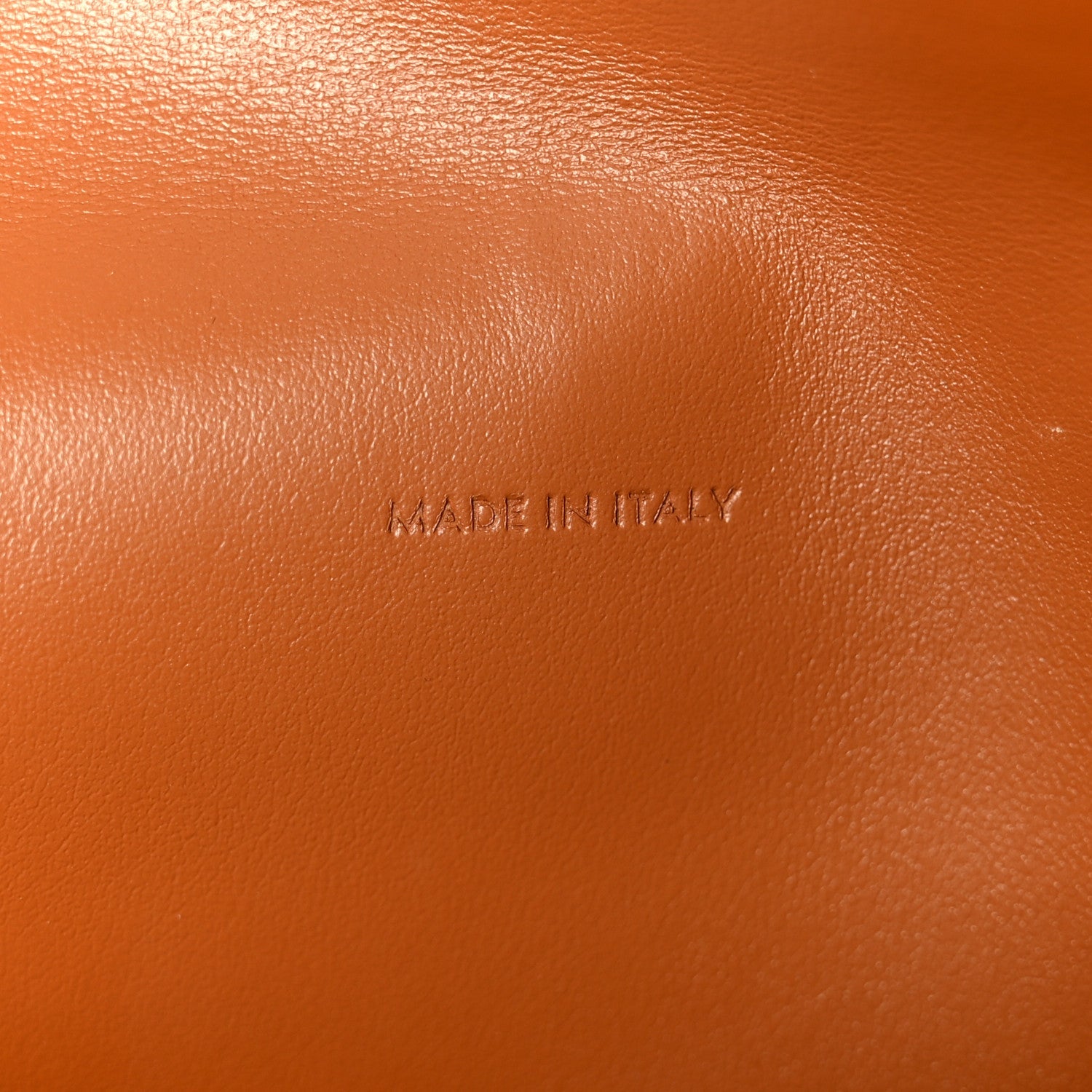 Triomphe Canvas Lambskin Wallet On Strap Tan