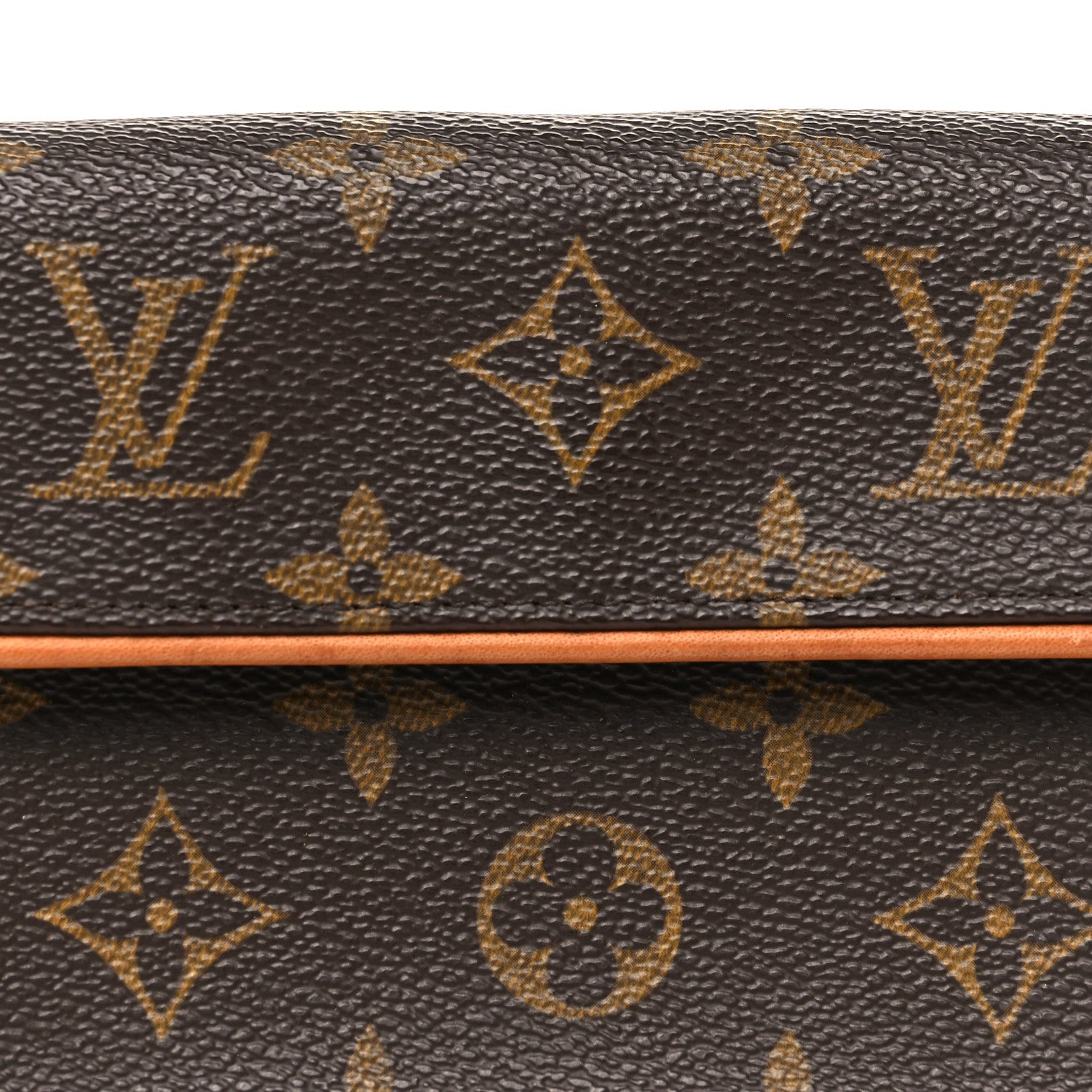 Monogram Pochette Florentine XS