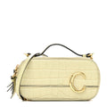 Calfskin Crocodile Embossed Mini C Vanity Bag Light Eucalyptus