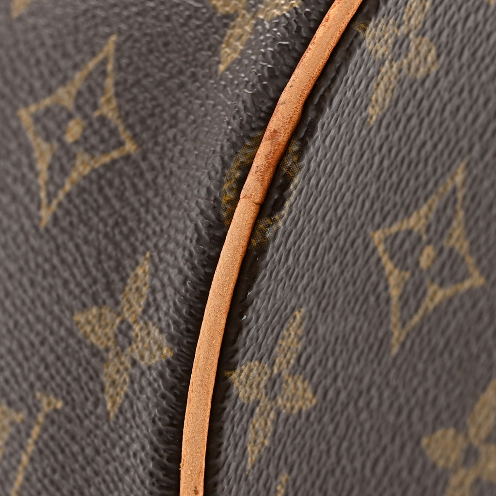 Monogram Papillon 30 with Companion
