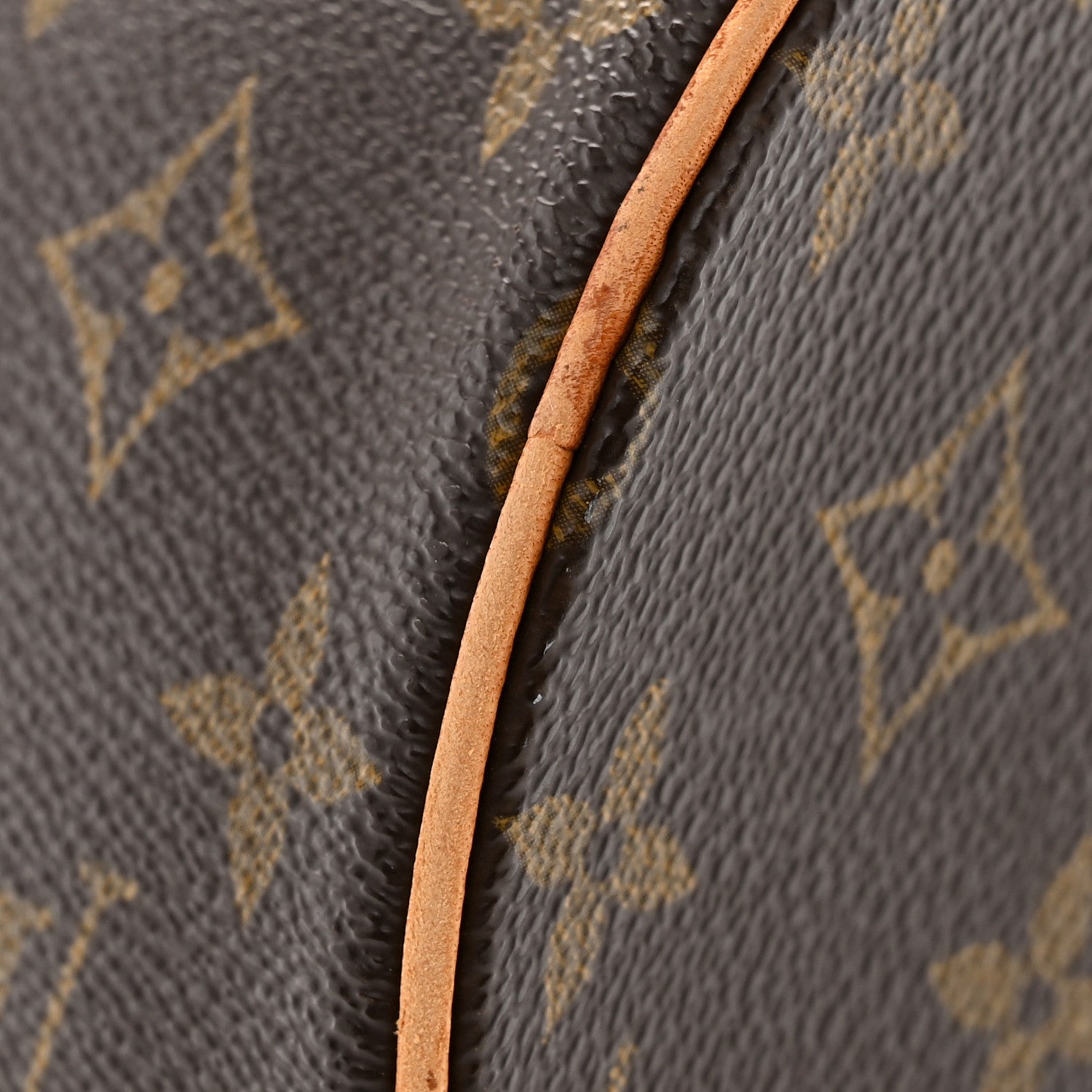 Monogram Papillon 30 with Companion