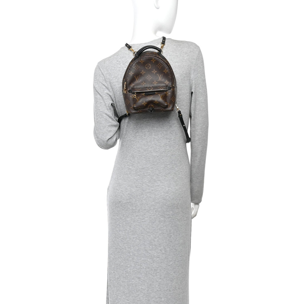 Monogram Palm Springs Backpack Mini