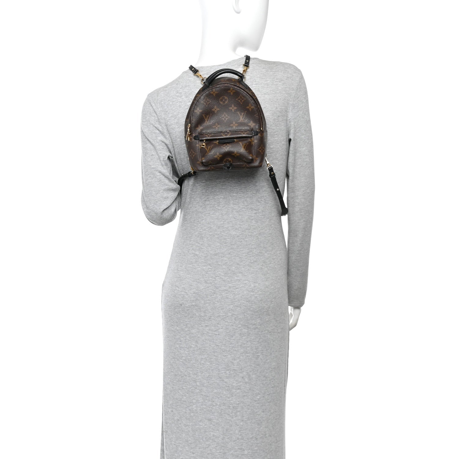 Monogram Palm Springs Backpack Mini