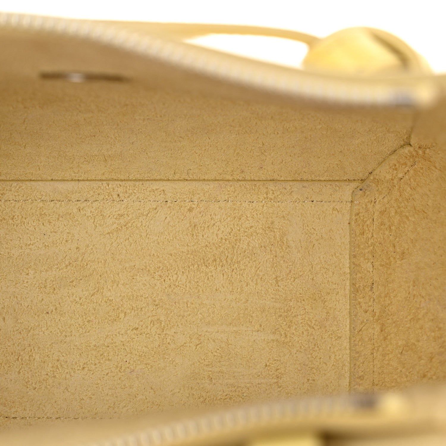 Grained Calfskin Nano Belt Bag Bergamote