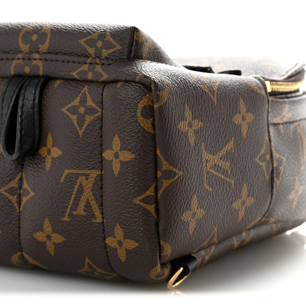 Monogram Palm Springs Backpack Mini