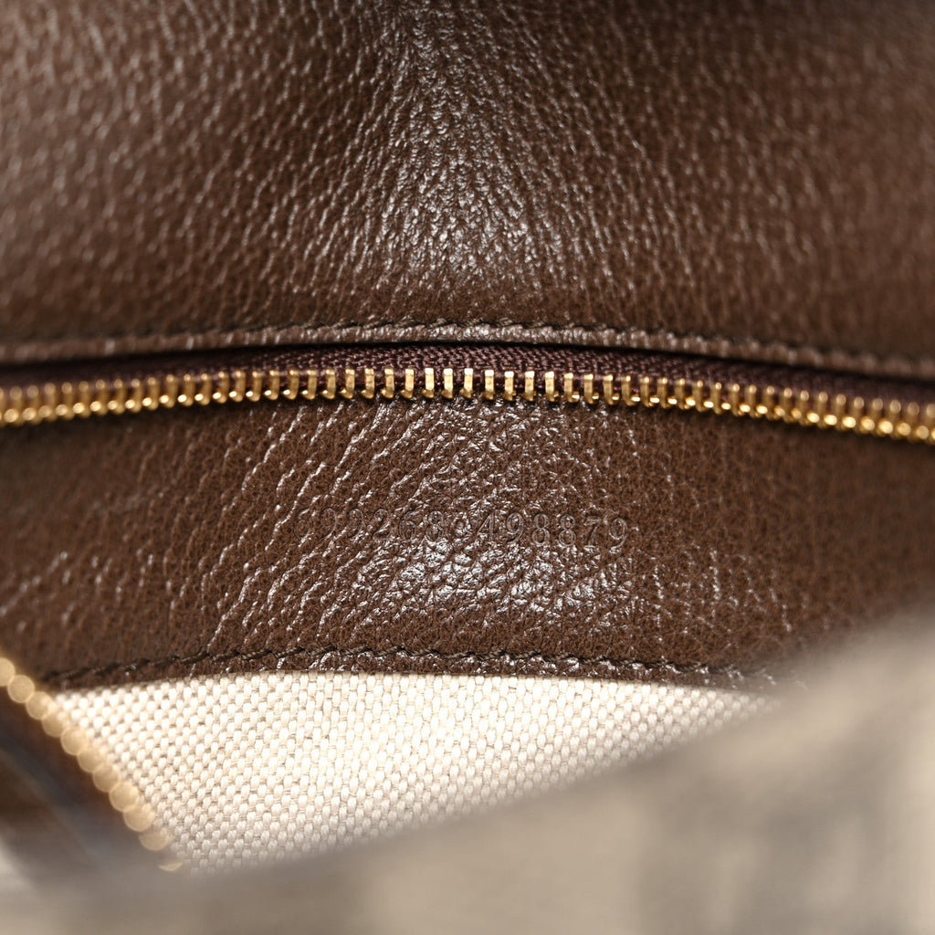 GG Supreme Monogram Textured Dollar Calfskin Blondie Chain Shoulder Flap Bag Beige Ebony New Acero