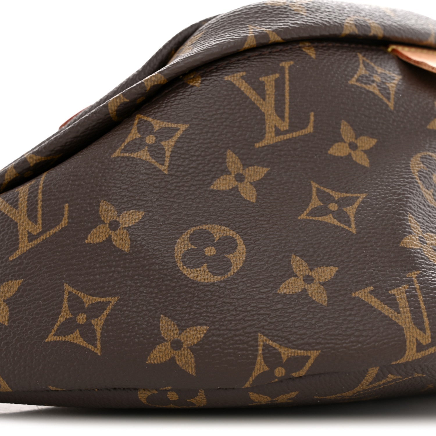 Monogram Bumbag