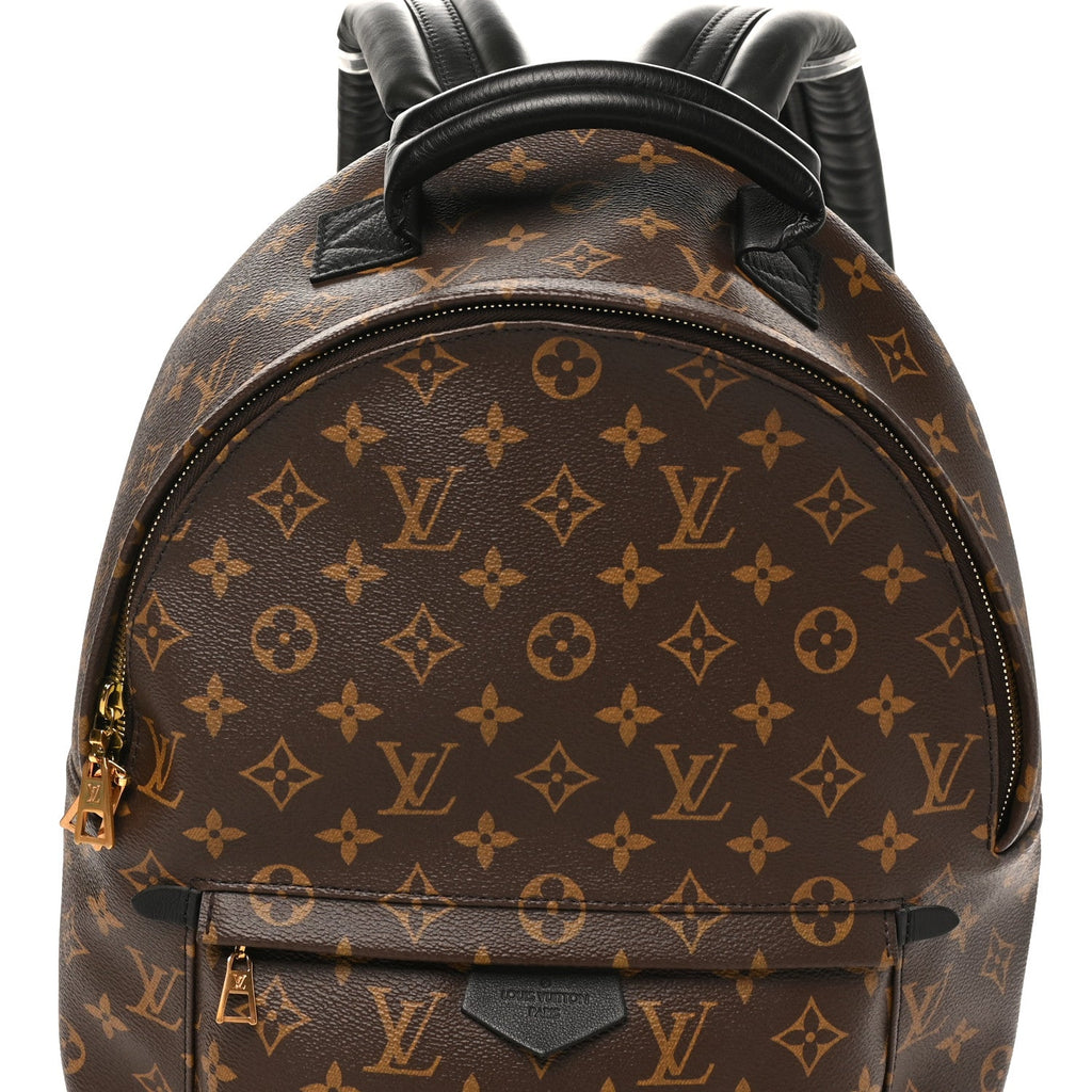 Monogram Palm Springs Backpack MM