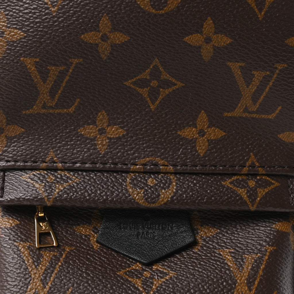 Monogram Palm Springs Backpack Mini
