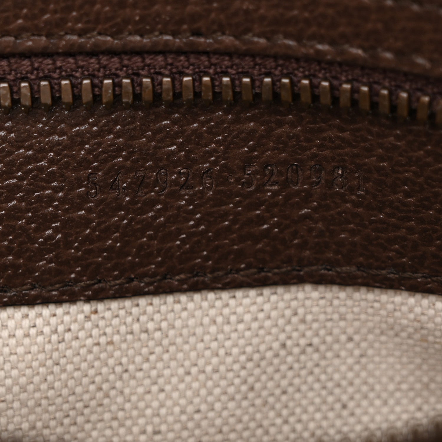 GG Supreme Monogram Web Small Ophidia Messenger Bag Brown