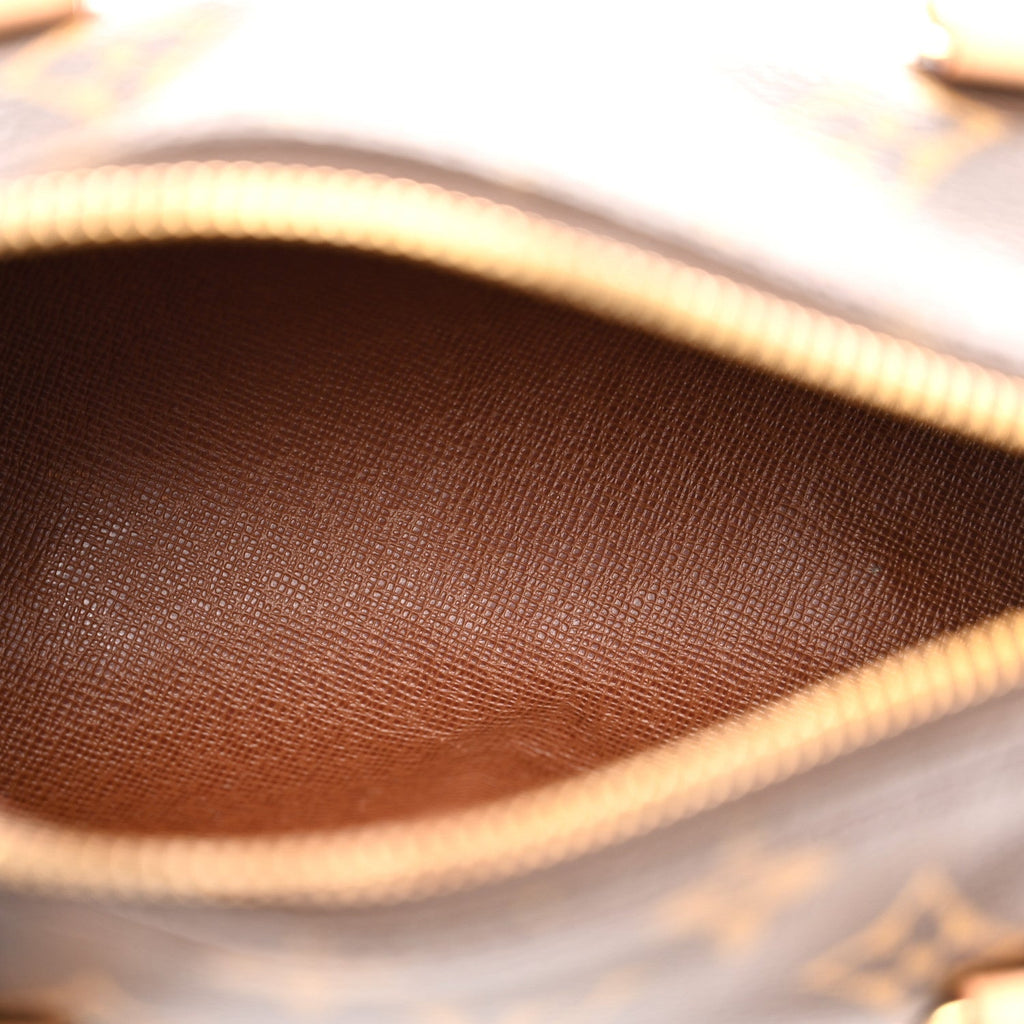 Monogram Papillon 19